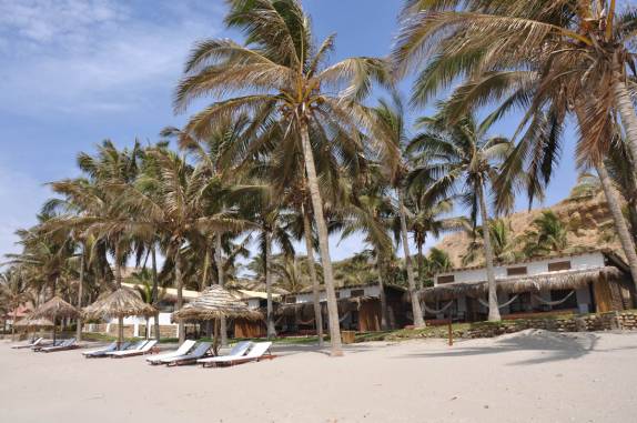 Coqueiros na praia em Mancora, no litoral norte do Peru